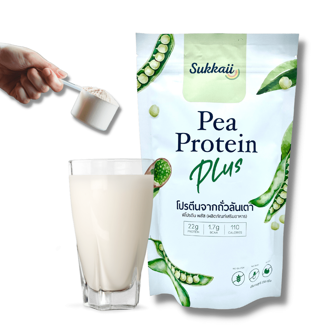 ShortVDO Sukkaii Pea Protein (2)